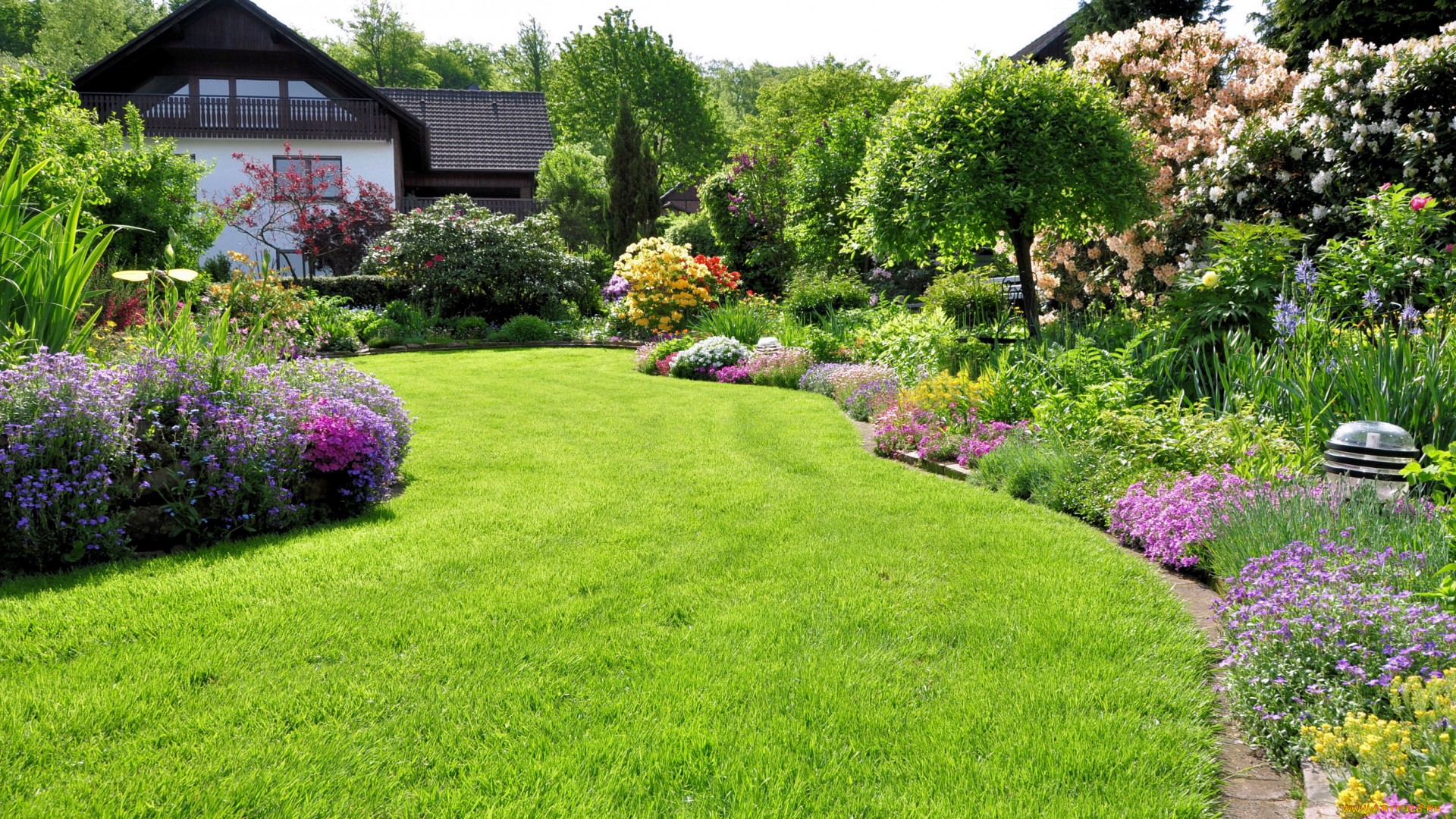 Lorem ipsum dolor sit amet, consectetur adipisicing