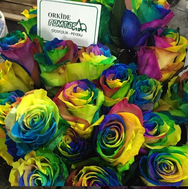 Güney Botanik Peyzaj