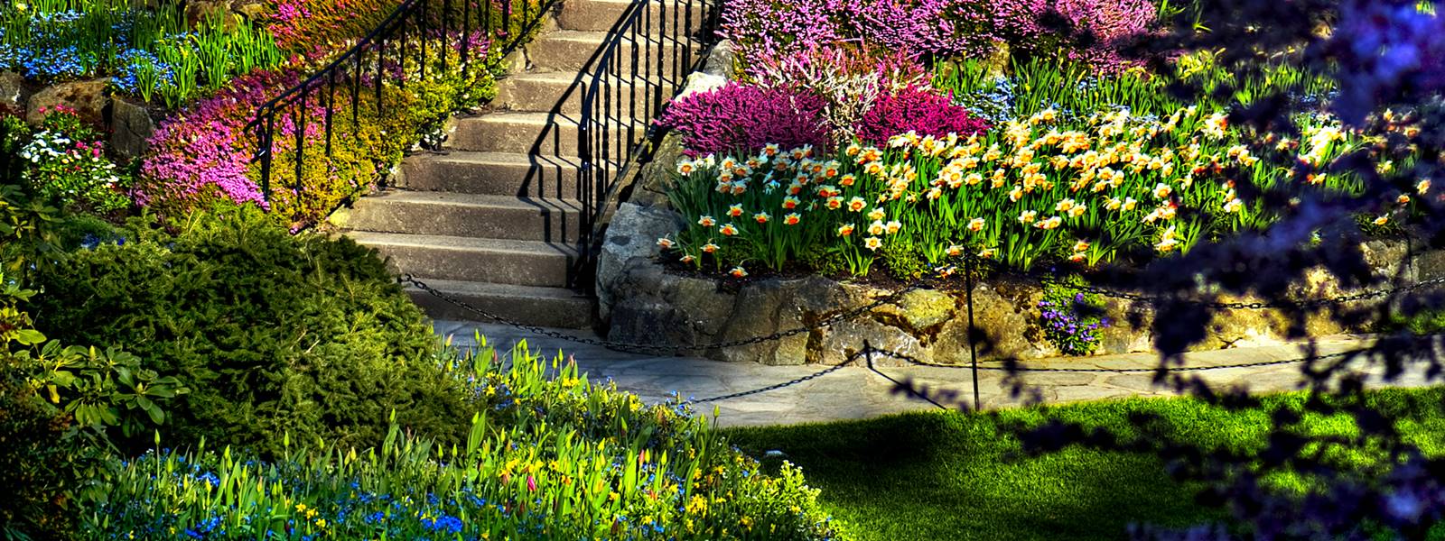 Güney Botanik Peyzaj